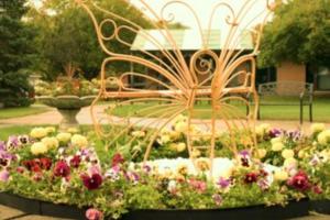 The Waterview Pines courtyard flowers