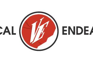 Vertical Endeavors logo